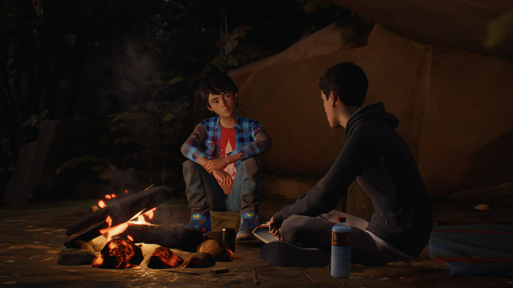 LIFE IS STRANGE 2 - COMPLETE SEASON - STEAM - PC - WORLDWIDE - Libelula Vesela - Jocuri video