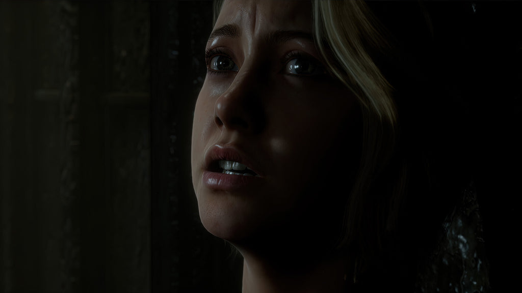 THE DARK PICTURES ANTHOLOGY: MAN OF MEDAN - PC - STEAM - MULTILANGUAGE - EU - Libelula Vesela - Jocuri video