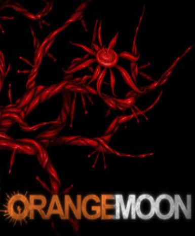 ORANGE MOON - STEAM - PC - WORLDWIDE - Libelula Vesela - Jocuri video
