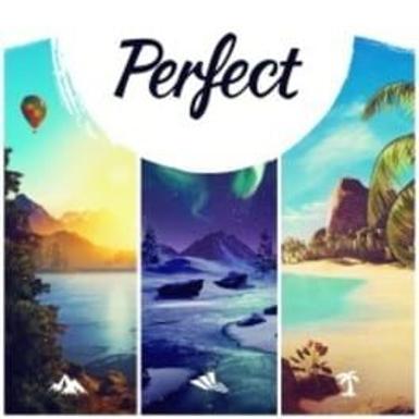PERFECT - STEAM - PC - EU - Libelula Vesela - Jocuri video